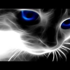 Meet your Posher, Simon